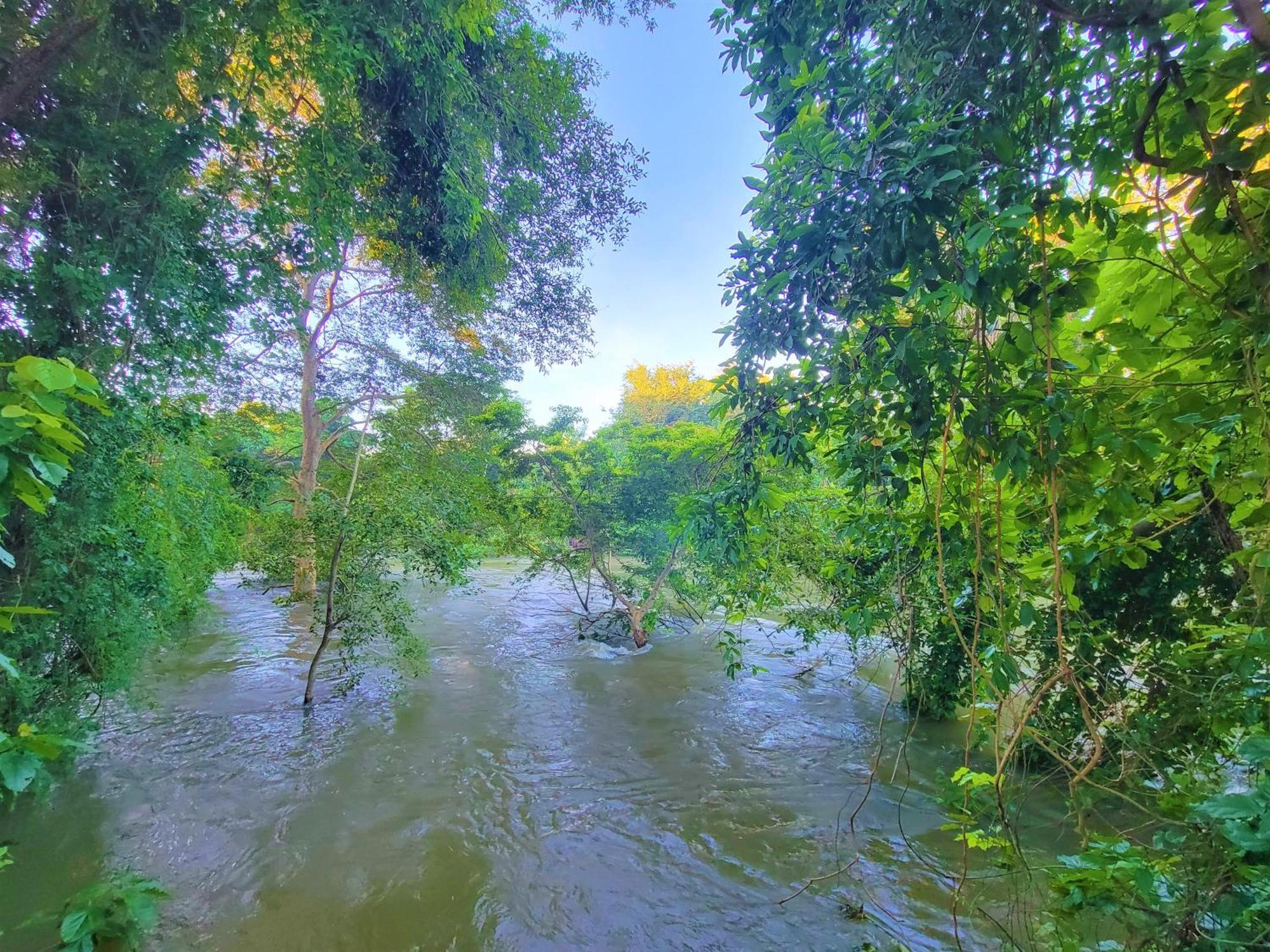 Jami River Side Hotel & Yala Safari Place Тиссамахарама Экстерьер фото